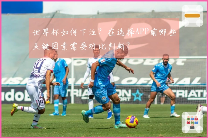 世界杯如何下注？在选择APP前哪些关键因素需要对比判断？