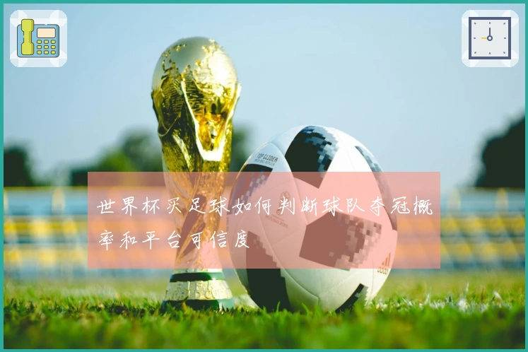 世界杯买足球如何判断球队夺冠概率和平台可信度