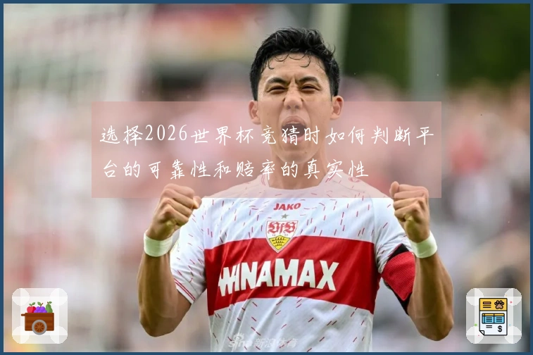 选择2026世界杯竞猜时如何判断平台的可靠性和赔率的真实性