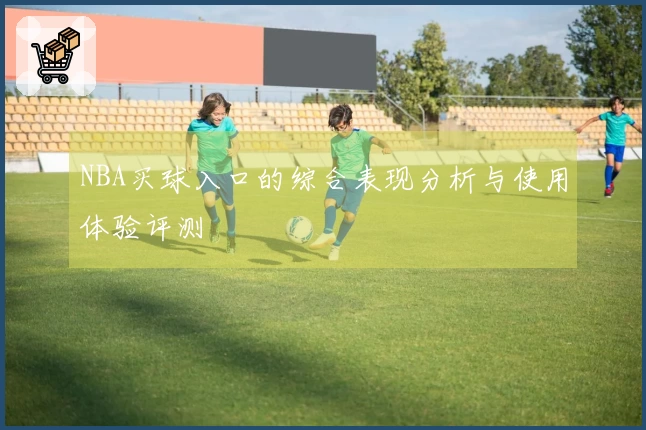 NBA买球入口的综合表现分析与使用体验评测
