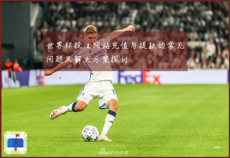 世界杯投注网站充值与提款的常见问题及解决方案探讨