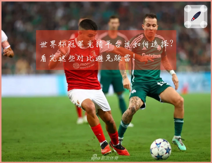 世界杯冠军竞猜平台该如何选择？看完这些对比避免踩雷！