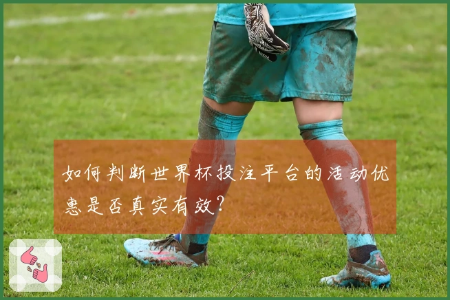 如何判断世界杯投注平台的活动优惠是否真实有效？
