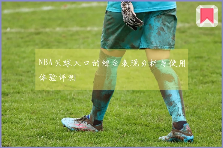 NBA买球入口的综合表现分析与使用体验评测