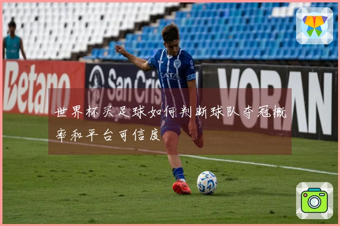 世界杯买足球如何判断球队夺冠概率和平台可信度