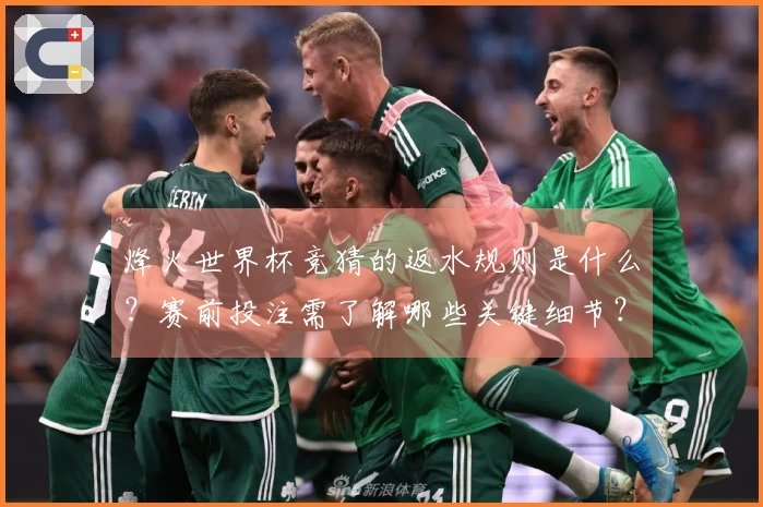 烽火世界杯竞猜的返水规则是什么？赛前投注需了解哪些关键细节？