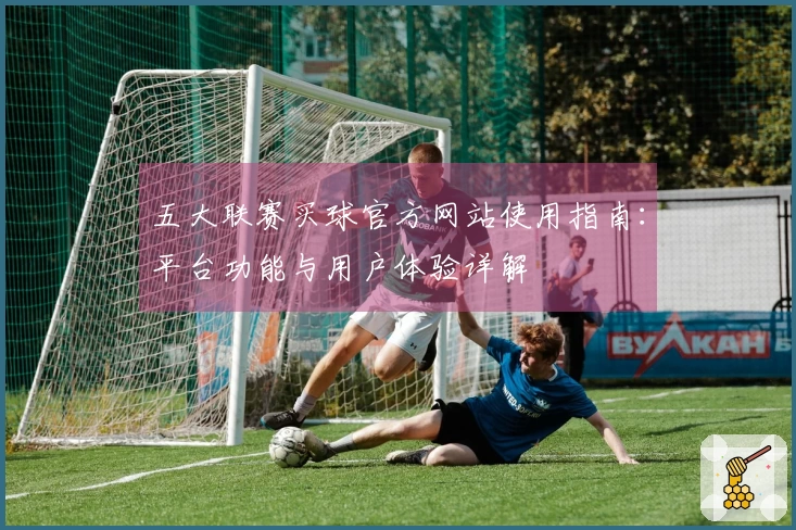 五大联赛买球官方网站使用指南：平台功能与用户体验详解