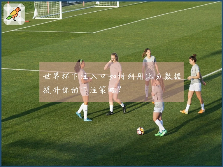 世界杯下注入口如何利用比分数据提升你的下注策略？