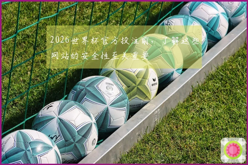2026世界杯官方投注前，了解这些网站的安全性至关重要