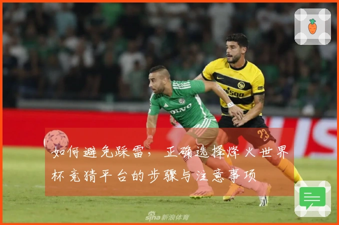 如何避免踩雷，正确选择烽火世界杯竞猜平台的步骤与注意事项